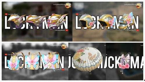 军需新皮肤最新爆料升级枪,枪械美学与实战性能的完美融合