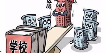 哈尔滨入学最新爆料,揭秘2024年入学政策与热门学校动态 第3张 哈尔滨入学最新爆料,揭秘2024年入学政策与热门学校动态 第3张